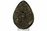Septarian Dragon Egg Geode - Black Crystals #157880-1